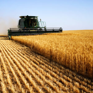 AGRICOLA